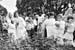 le dorat 1988-039
