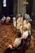 2008-017-ost-stju-an2009