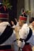 2008-024-ost-stju-an2009